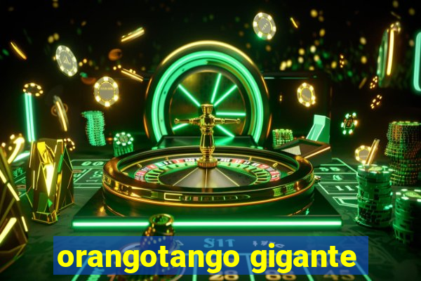 orangotango gigante